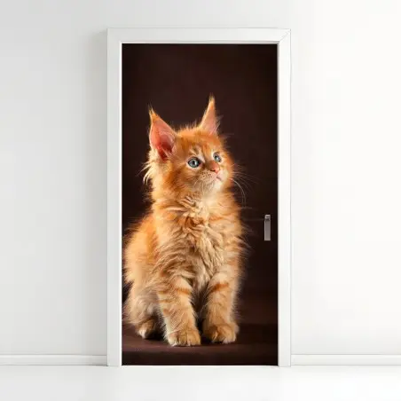 Türaufkleber niedliches rotes kätzchenportrait – Pixers®