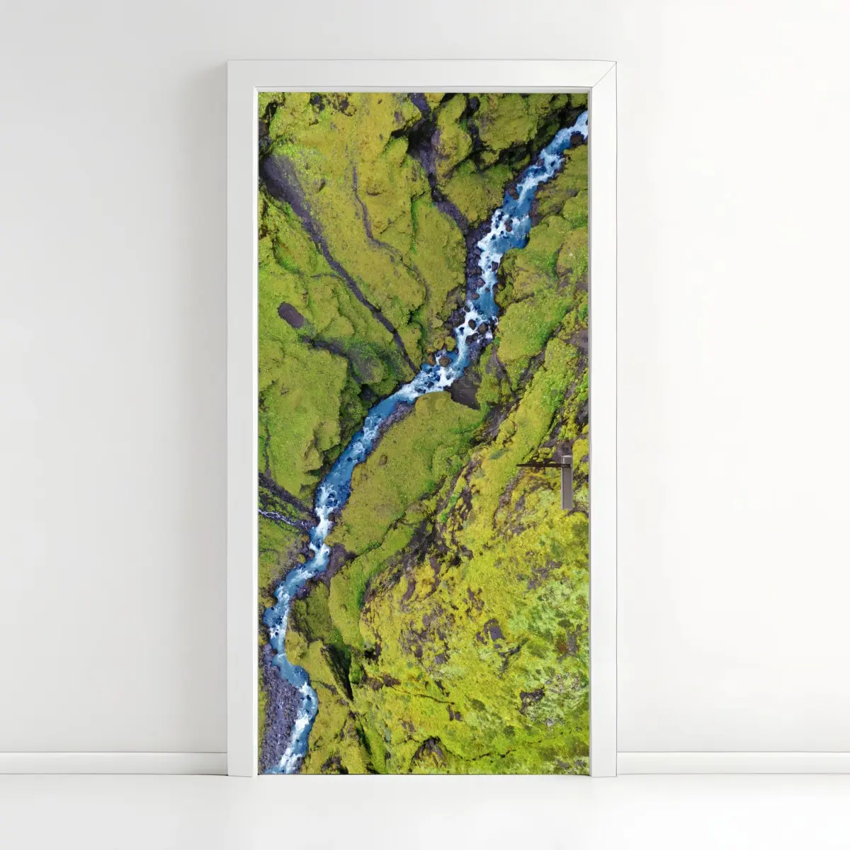 Türaufkleber luftaufnahme: fluss in moosbedeckter schlucht – Pixers®