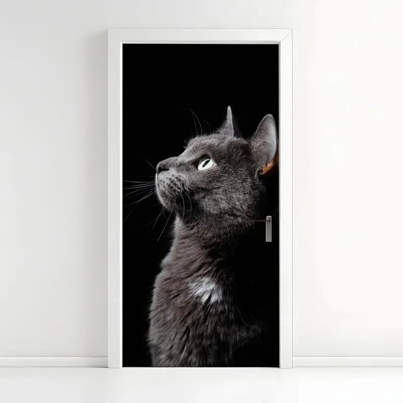 Türaufkleber elegantes porträt einer grauen katze