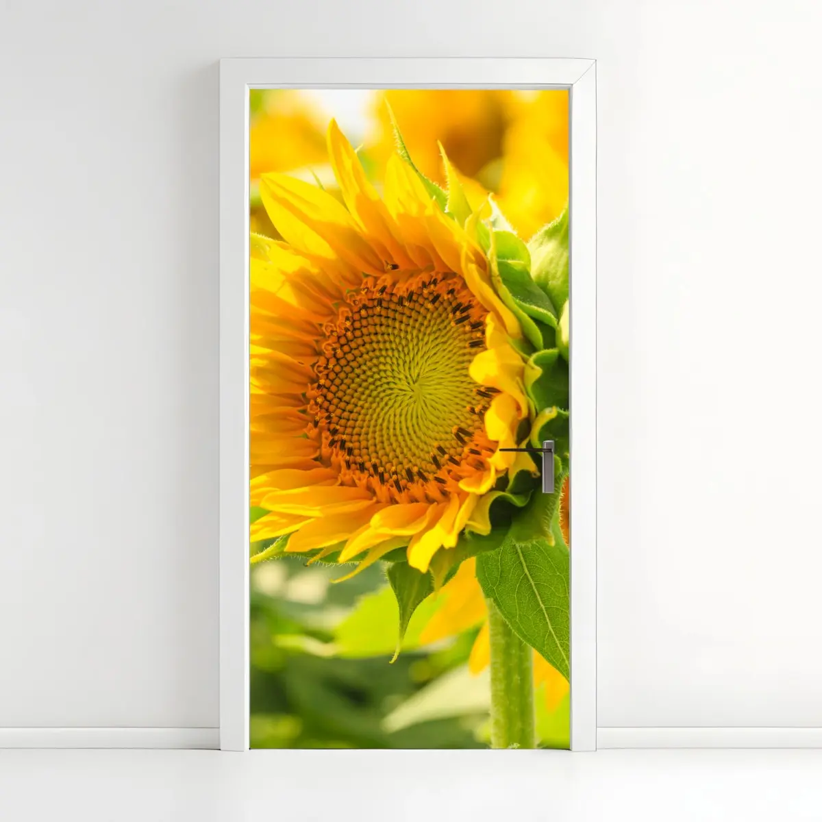 Türaufkleber sonnenblume nahaufnahme – Pixers®