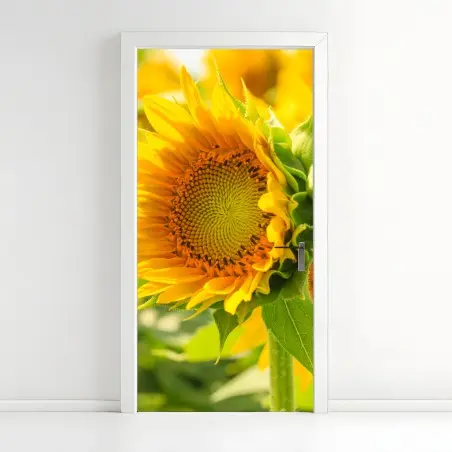 Türaufkleber sonnenblume nahaufnahme – Pixers®