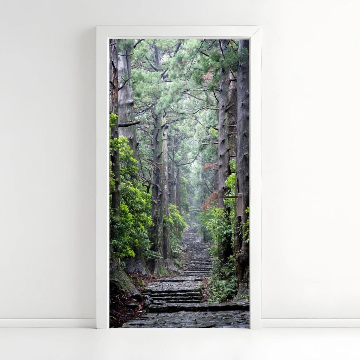 Türaufkleber mystischer waldweg zwischen alten bäumen – Pixers®