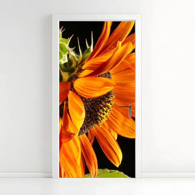 Türaufkleber leuchtende orange sonnenblume nahaufnahme