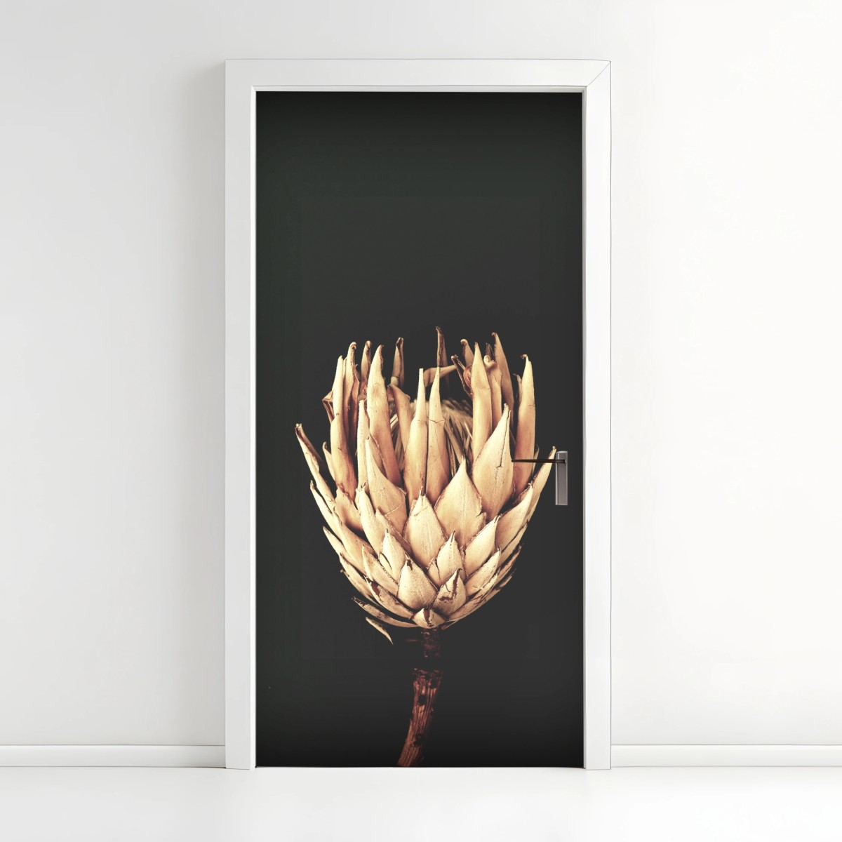 Türaufkleber getrocknete protea in sepia – Pixers®