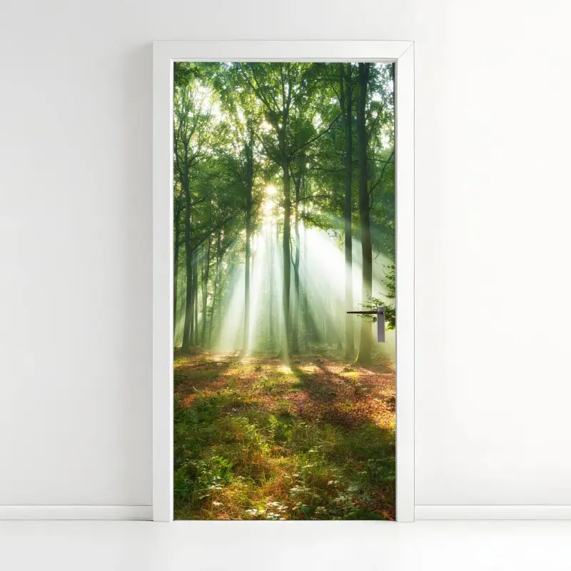 Türaufkleber morgendliches licht im wald