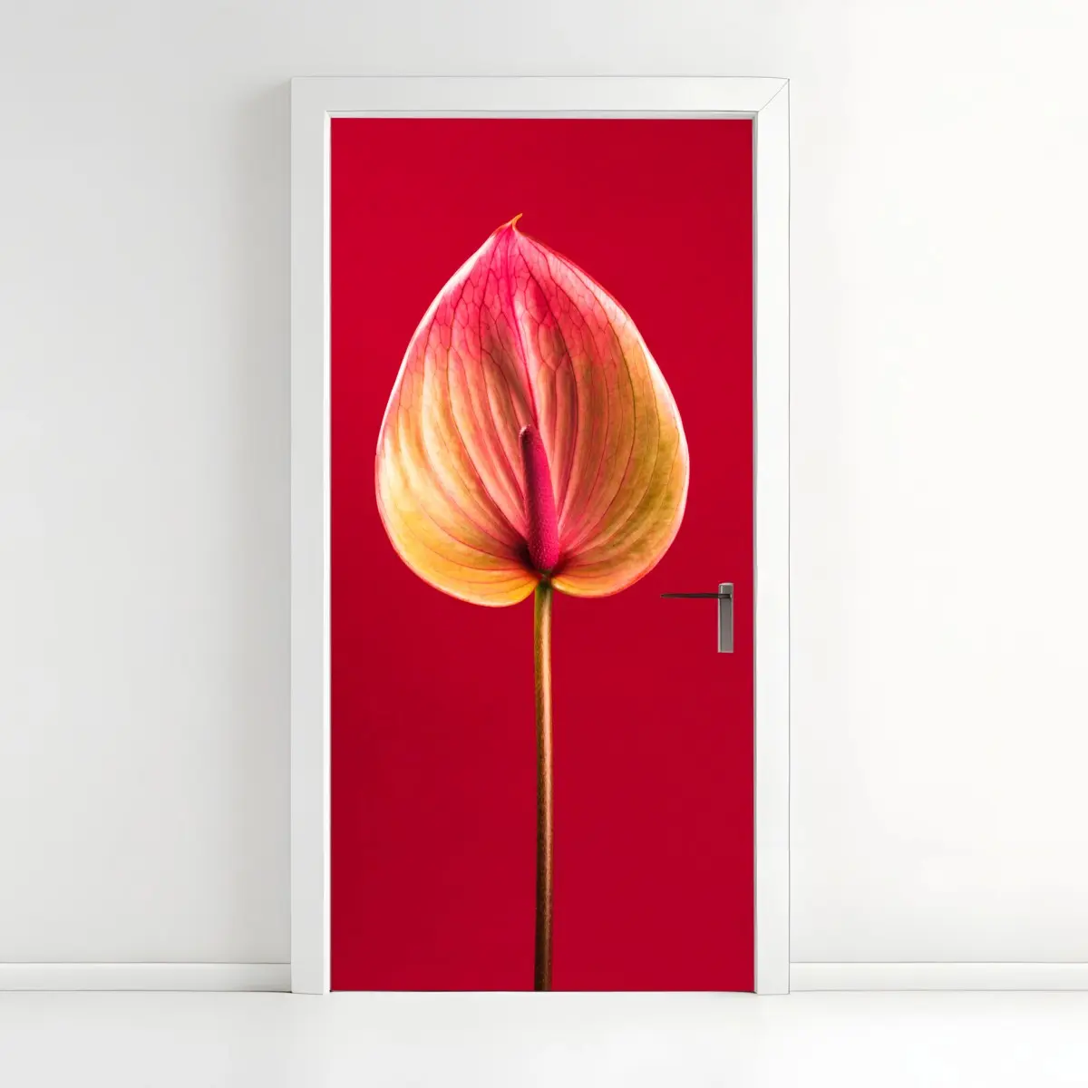 Türaufkleber elegantes anthurium vor rotem hintergrund – Pixers®
