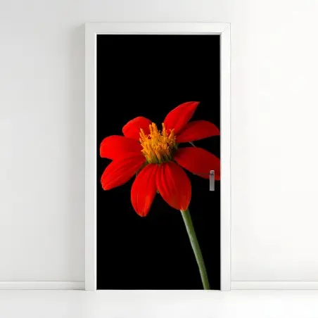 Türaufkleber leuchtende mexikanische sonnenblume auf schwarzem hintergrund – Pixers®