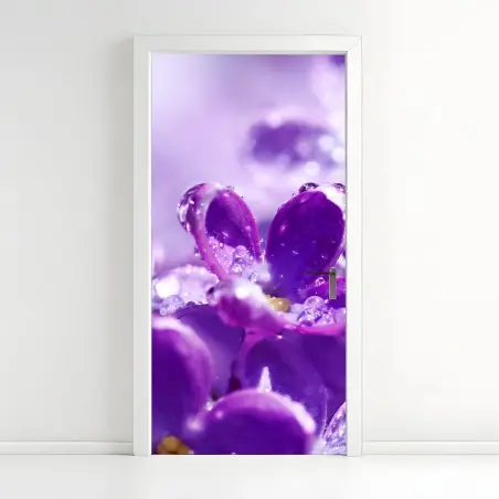 Türaufkleber lila fliederblüte mit tau – Pixers®