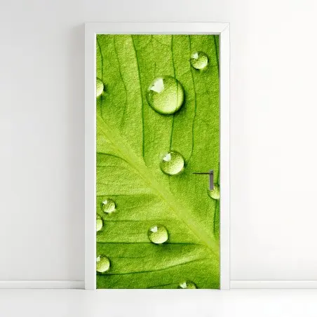 Türaufkleber frisches grünes blatt mit wassertropfen – Pixers®