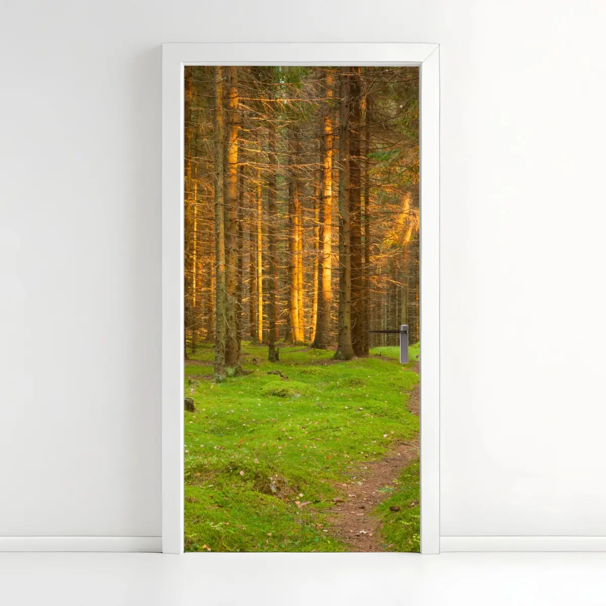Türaufkleber goldenes licht im moosbedeckten kiefernwald – Pixers®