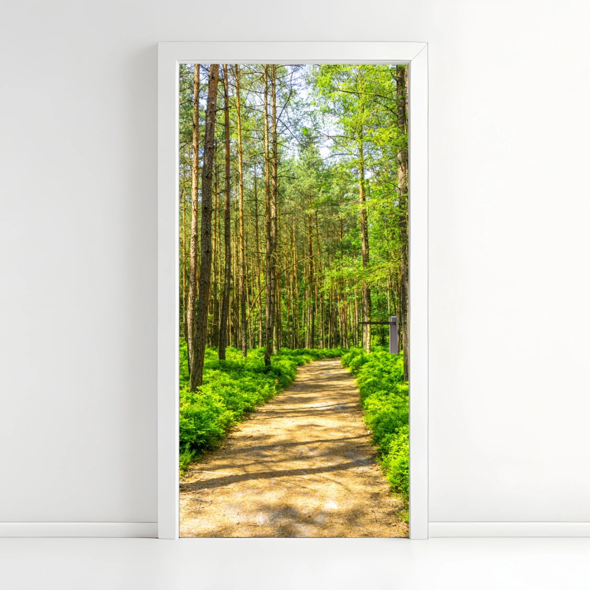 Türaufkleber sonniger waldweg zwischen kiefern – Pixers®