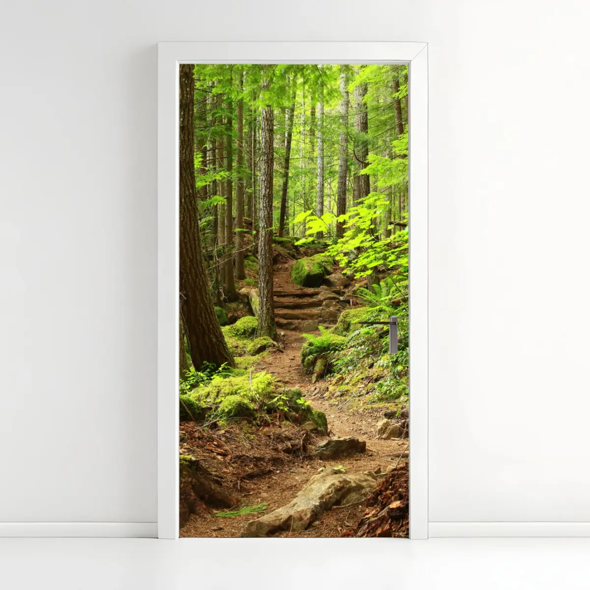 Türaufkleber moosiger waldpfad – Pixers®