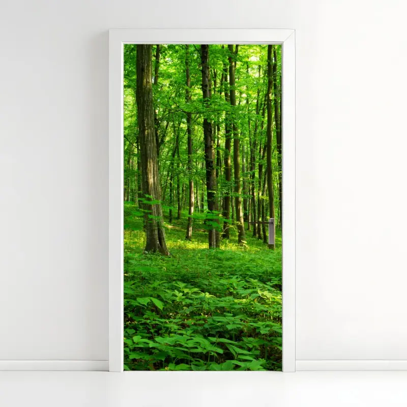 Türaufkleber sonniger grüner wald im frühling