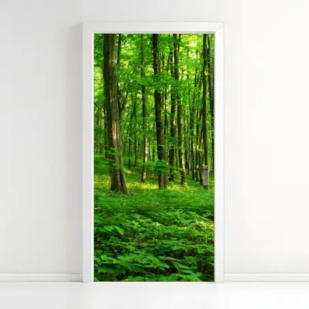 Türaufkleber sonniger grüner wald im frühling – Pixers®