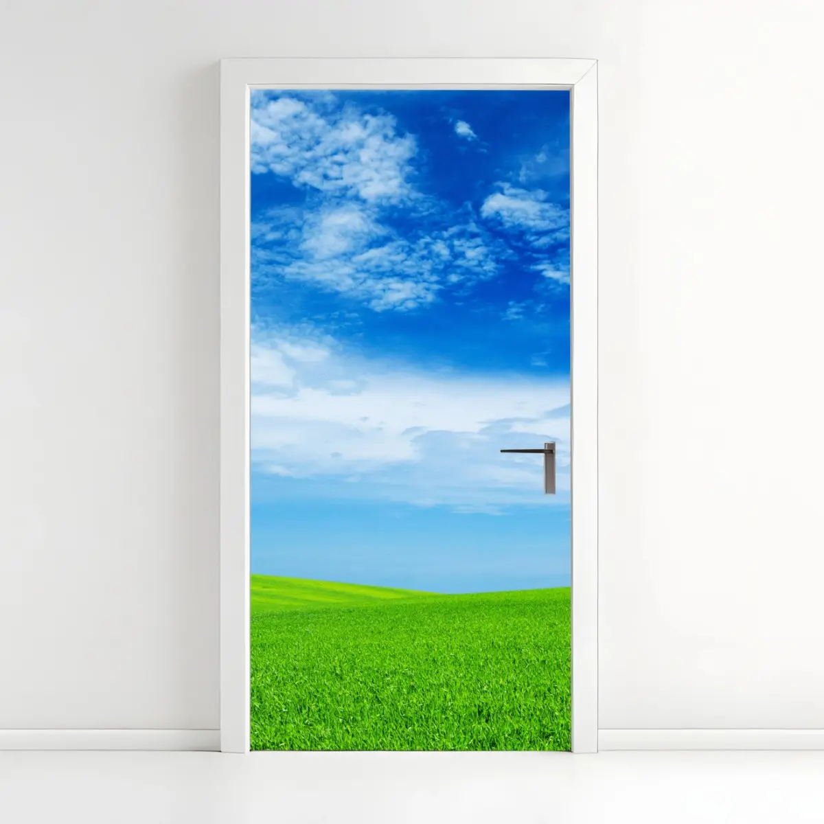Türaufkleber grüne wiese unter blauem himmel – Pixers®