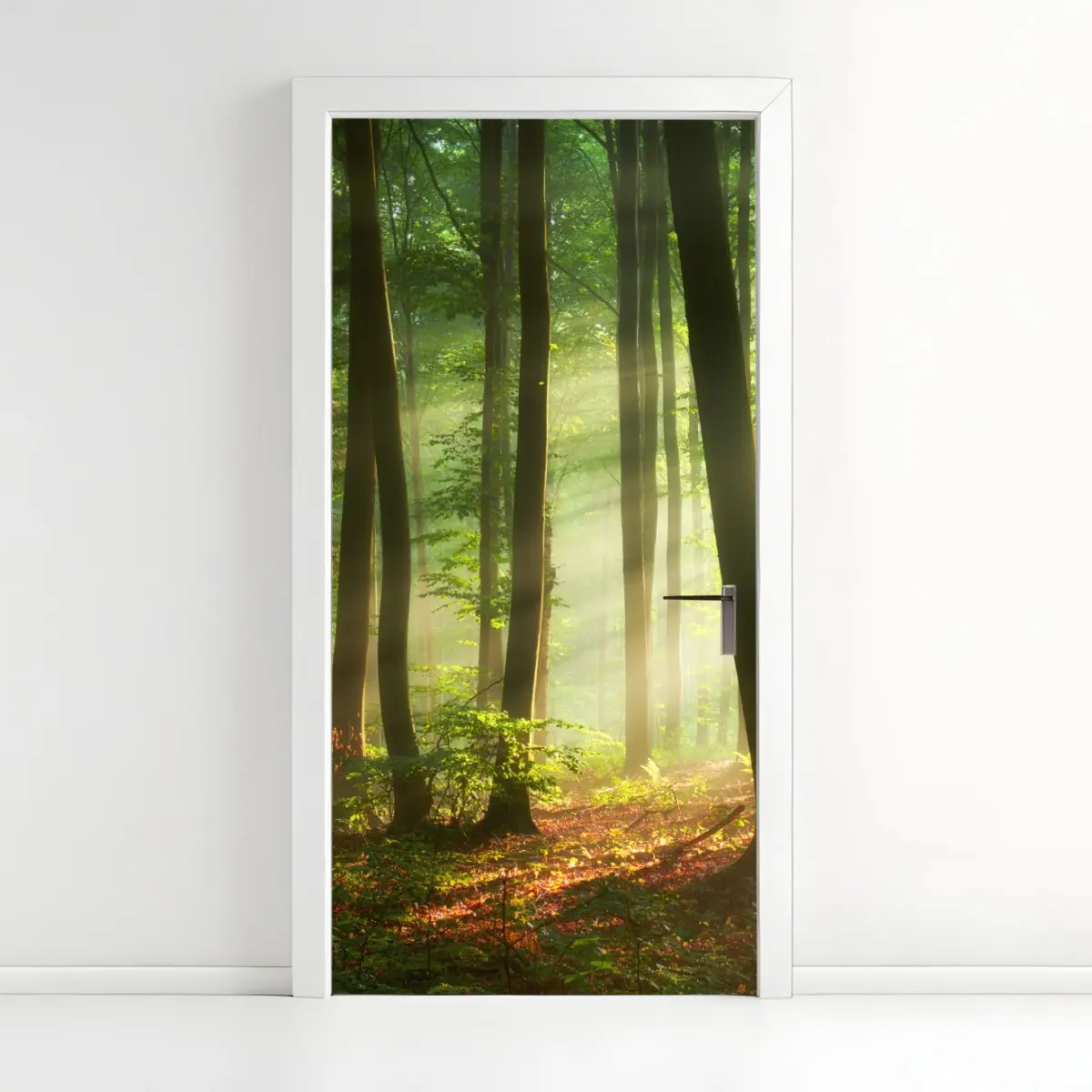 Türaufkleber sonnenbeschienener morgenwald – Pixers®