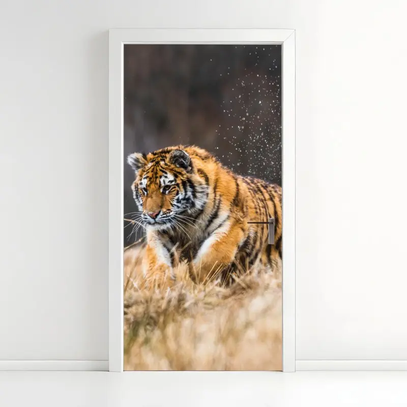 Türaufkleber sibirischer tiger in bewegung