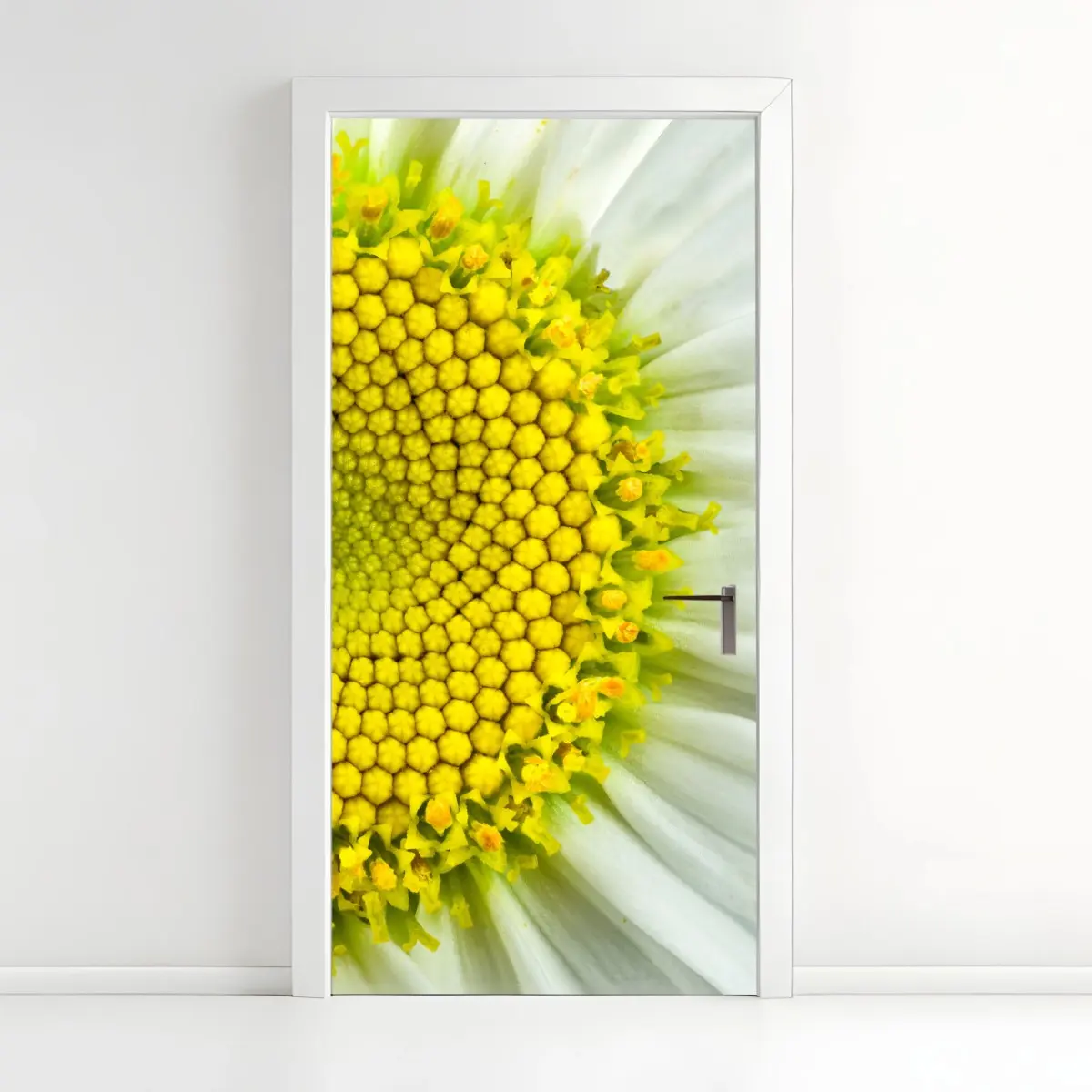 Türaufkleber makro gänseblümchen spiralmuster – Pixers®