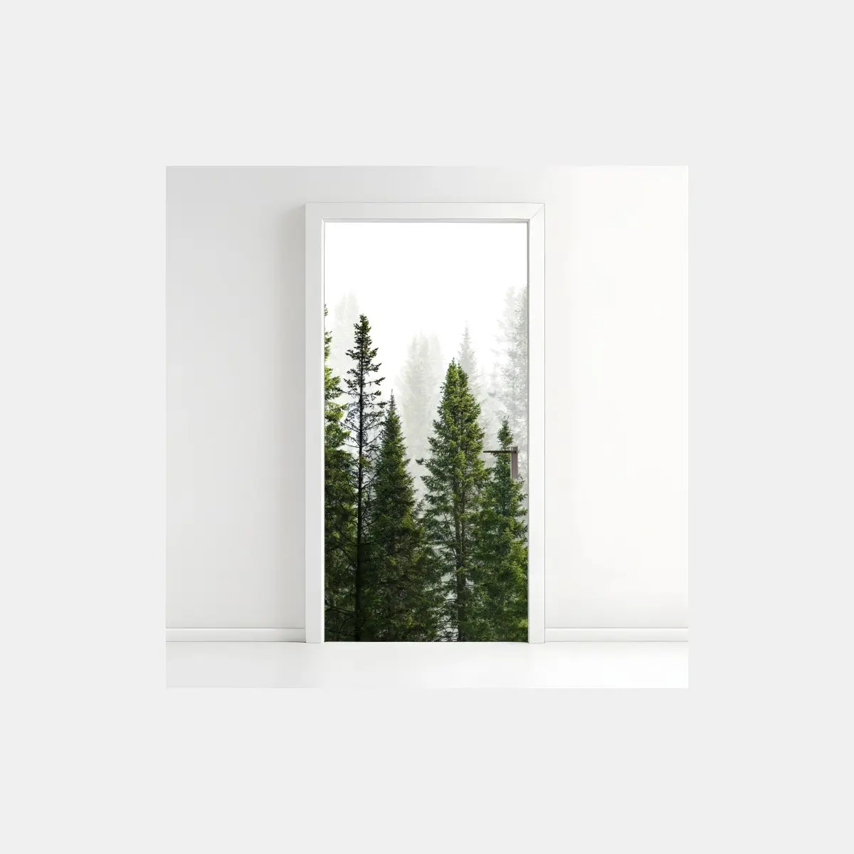 Türaufkleber nebliger tannenwald – Pixers®