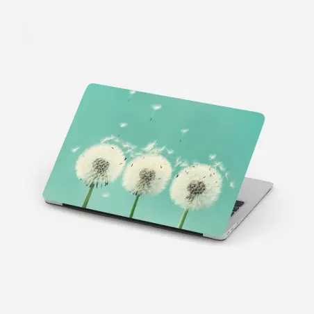 Laptop-Aufkleber drei löwenzahn-pusteblumen auf türkisgrund – Pixers®