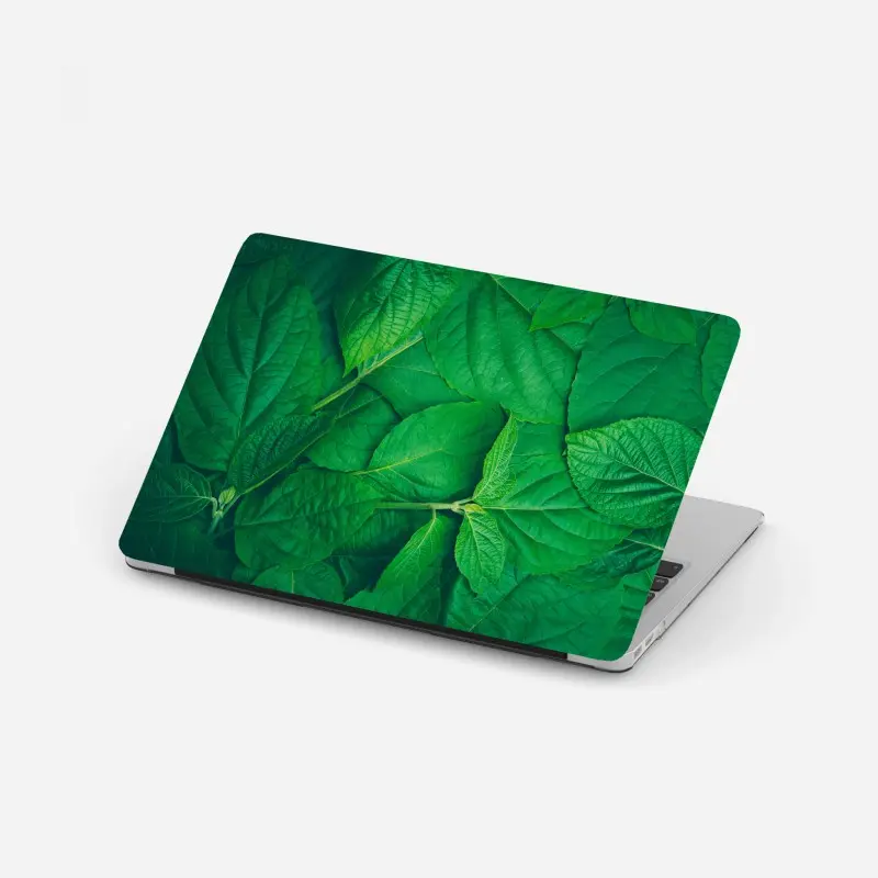 Laptop-Aufkleber saftige grüne blätter