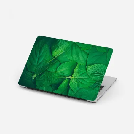 Laptop-Aufkleber saftige grüne blätter – Pixers®