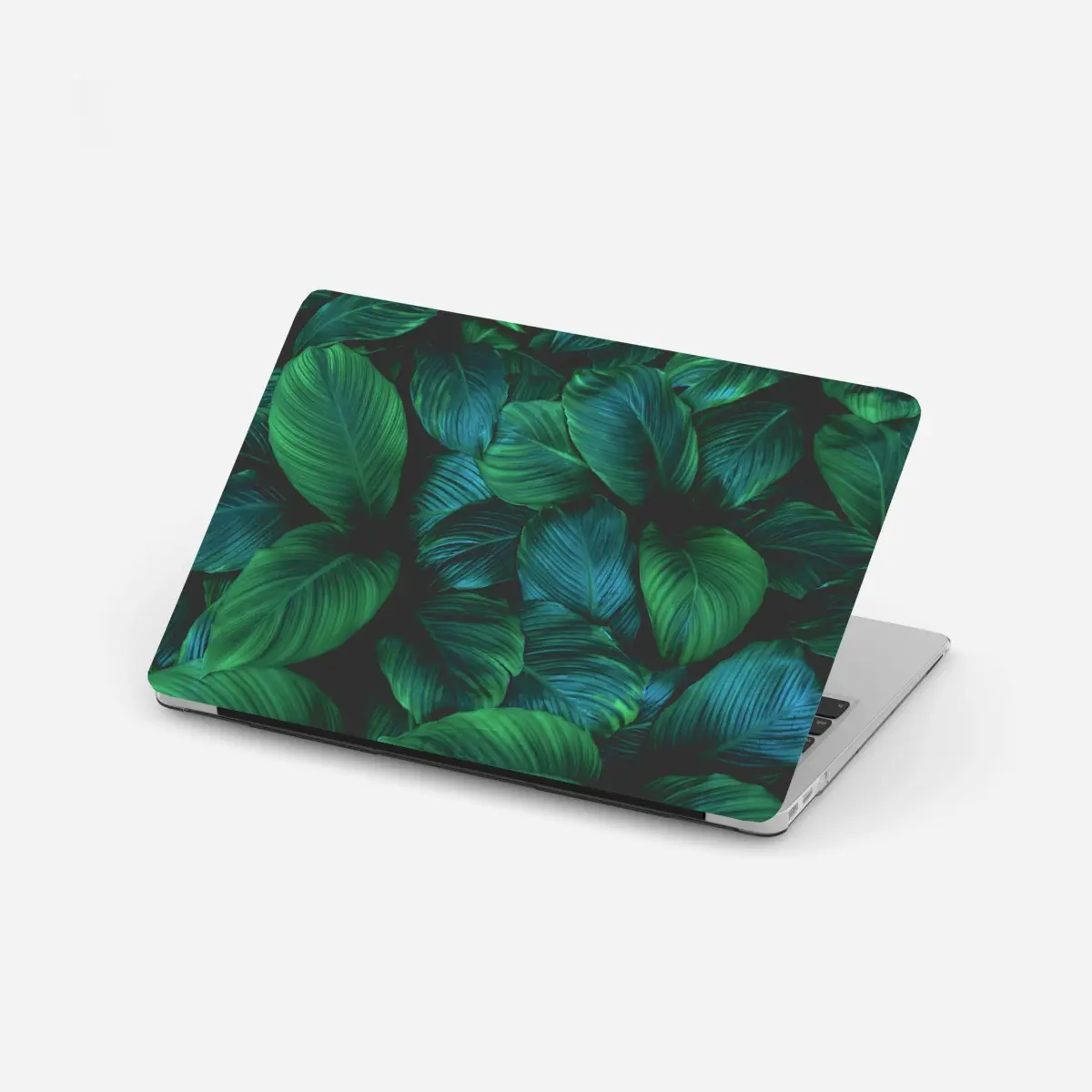 Laptop-Aufkleber üppige tropische blätter – Pixers®
