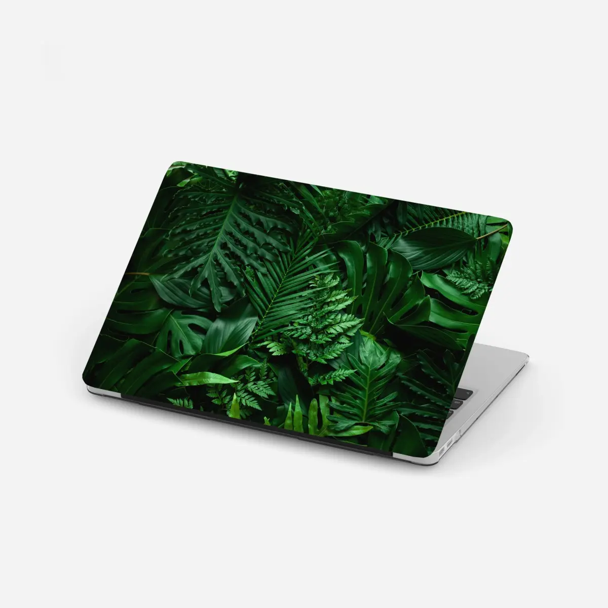 Laptop-Aufkleber üppige tropische blätter – Pixers®
