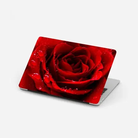 Laptop-Aufkleber leuchtend rote rose nahaufnahme – Pixers®