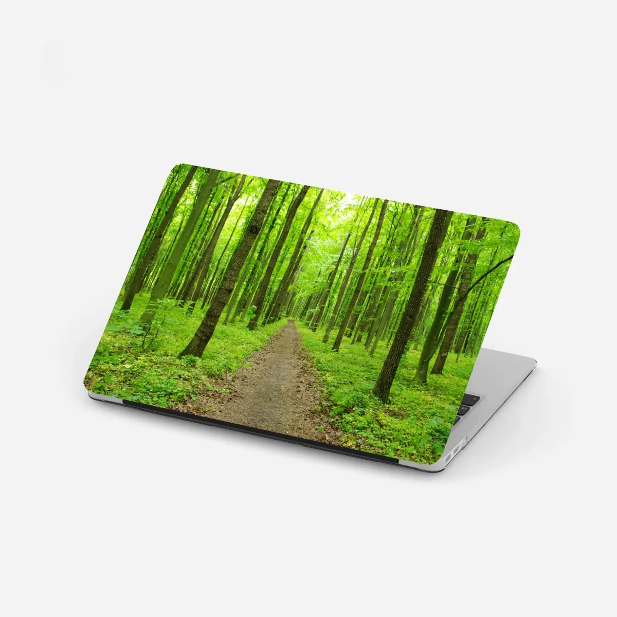 Laptop-Aufkleber ruhiger grüner waldweg – Pixers®