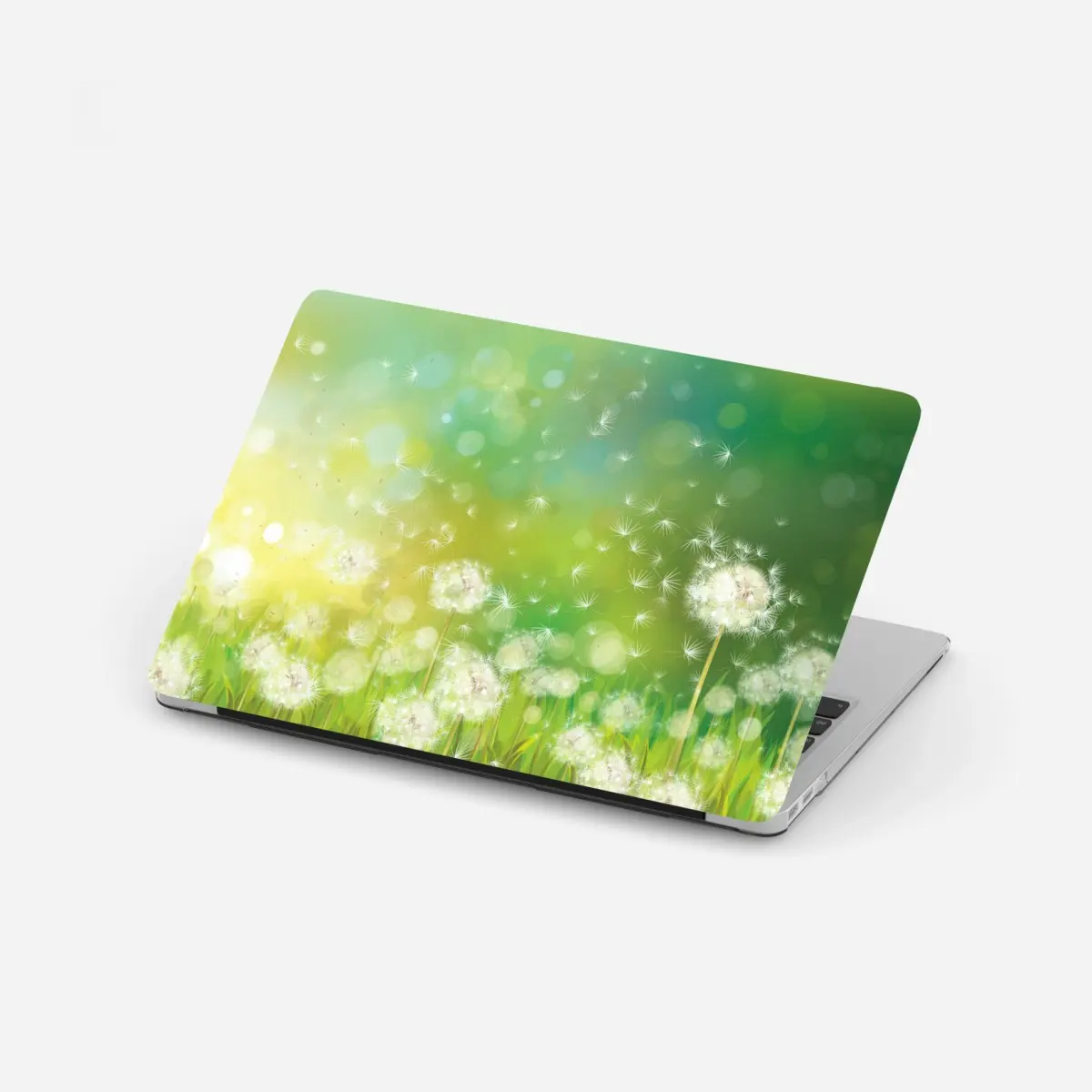 Laptop-Aufkleber frühlingswiese mit löwenzahn – Pixers®