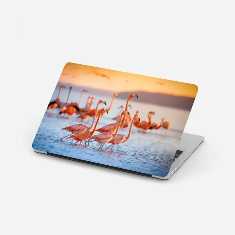 Laptop-Aufkleber rosa flamingos bei sonnenuntergang