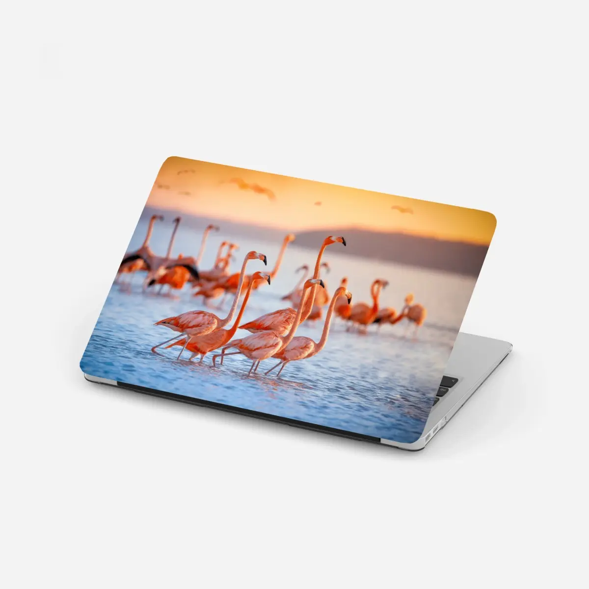 Laptop-Aufkleber rosa flamingos bei sonnenuntergang – Pixers®