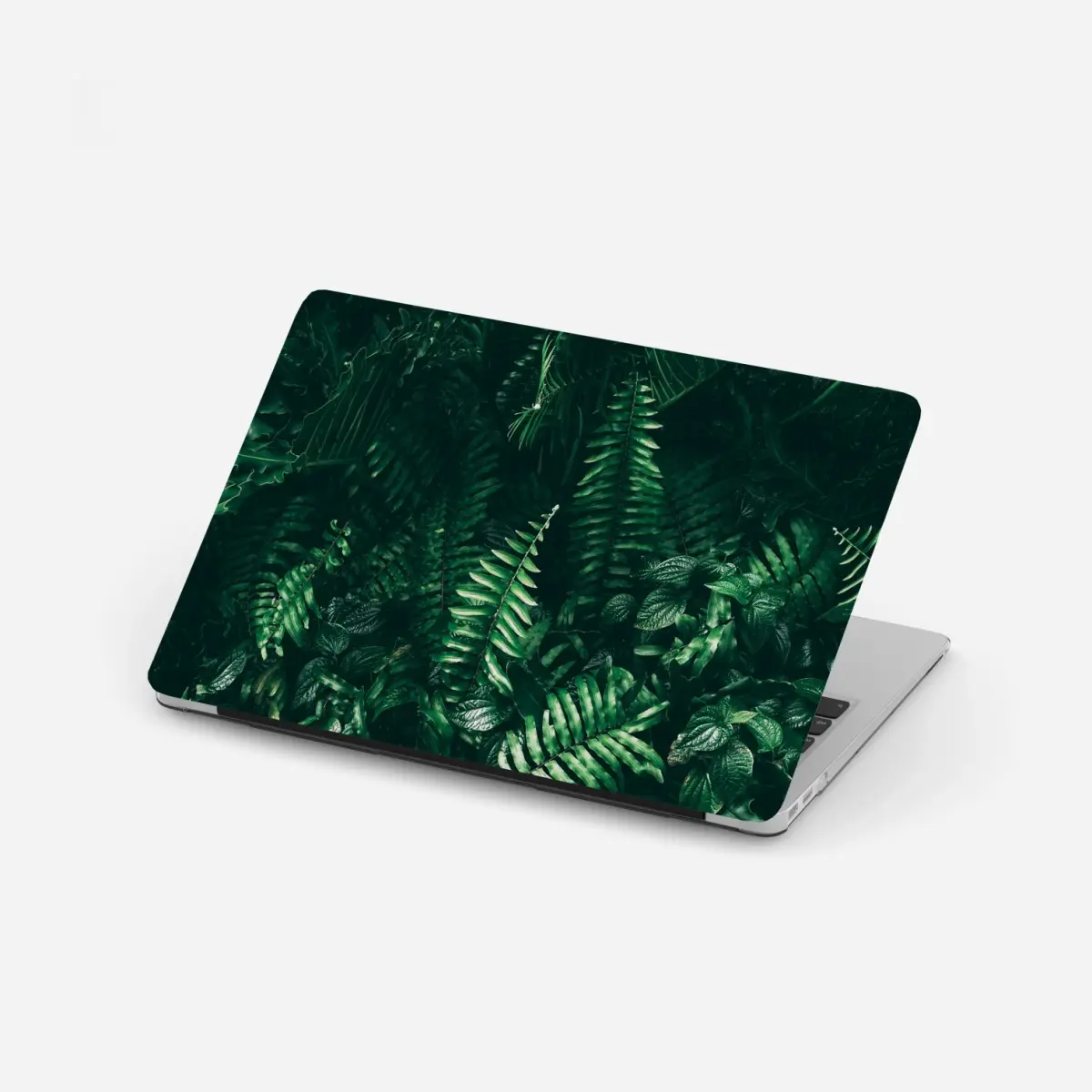 Laptop-Aufkleber üppige tropische grüne blätter – Pixers®