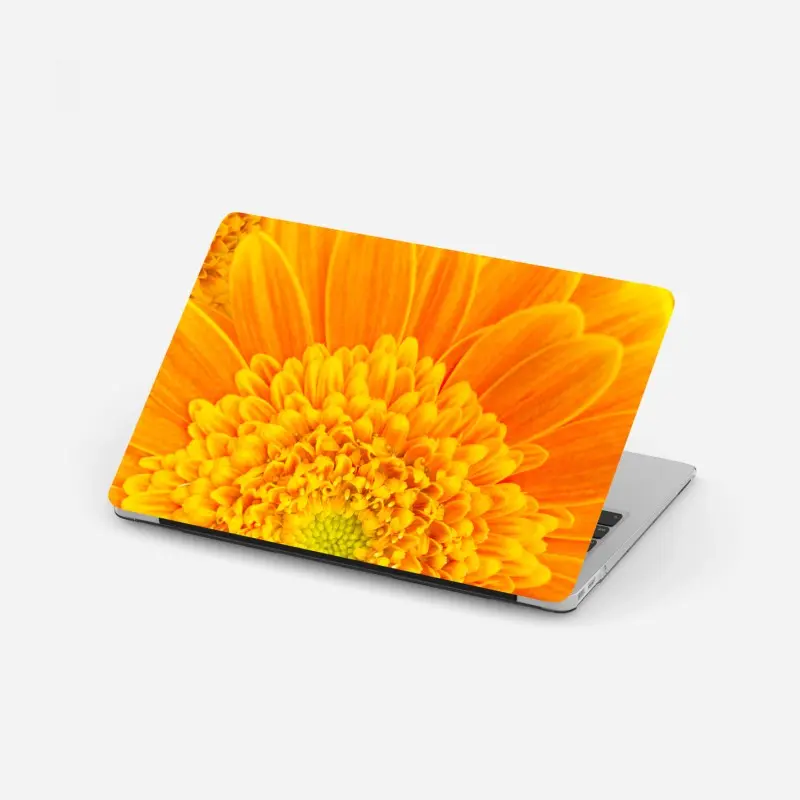 Laptop-Aufkleber intensive orange gerbera nahaufnahme