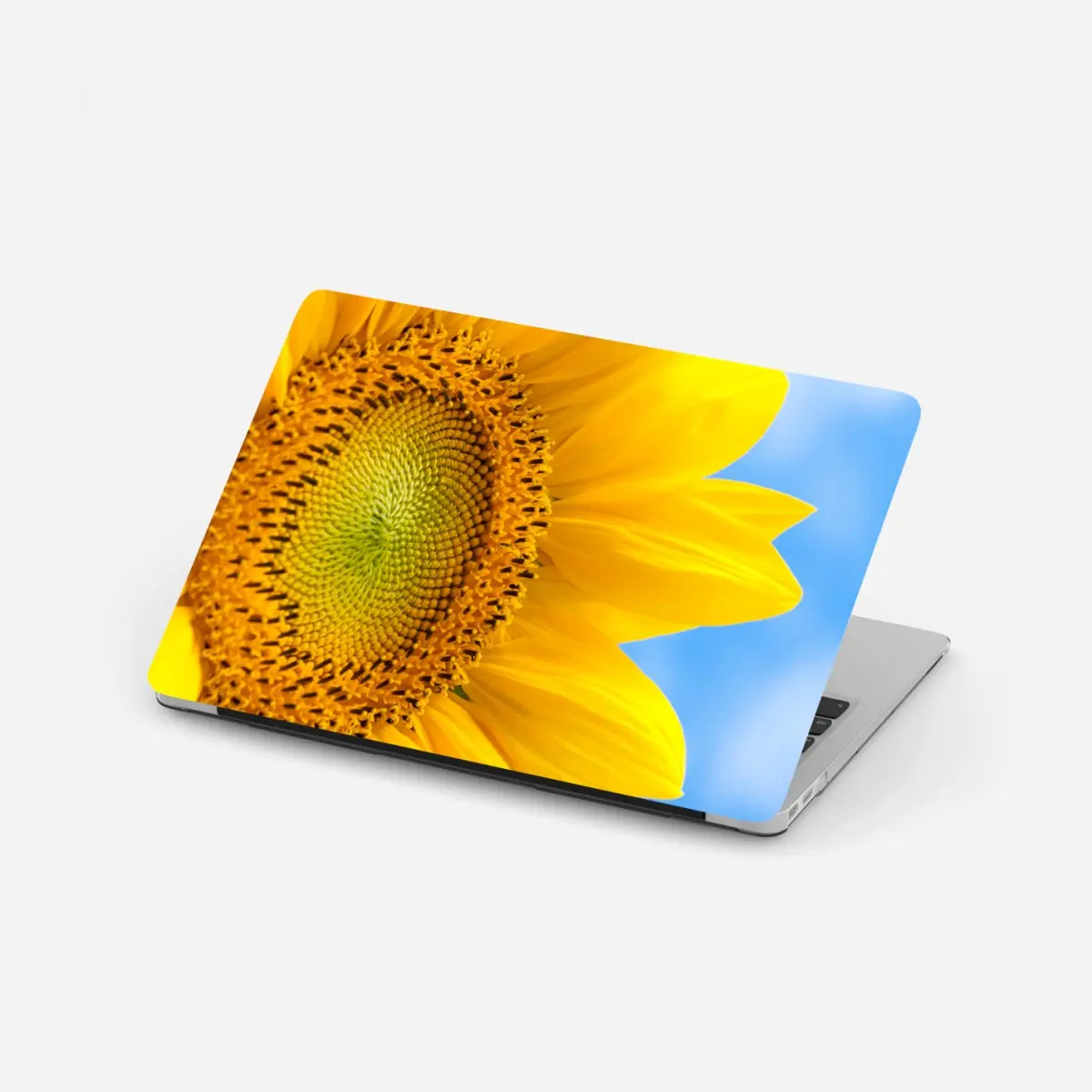 Laptop-Aufkleber leuchtende sonnenblume vor blauem himmel – Pixers®
