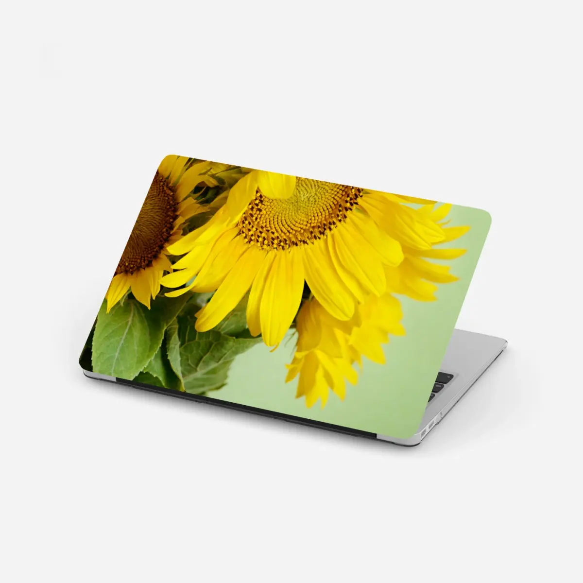Laptop-Aufkleber heller sonnenblumenstrauß auf grünem hintergrund – Pixers®