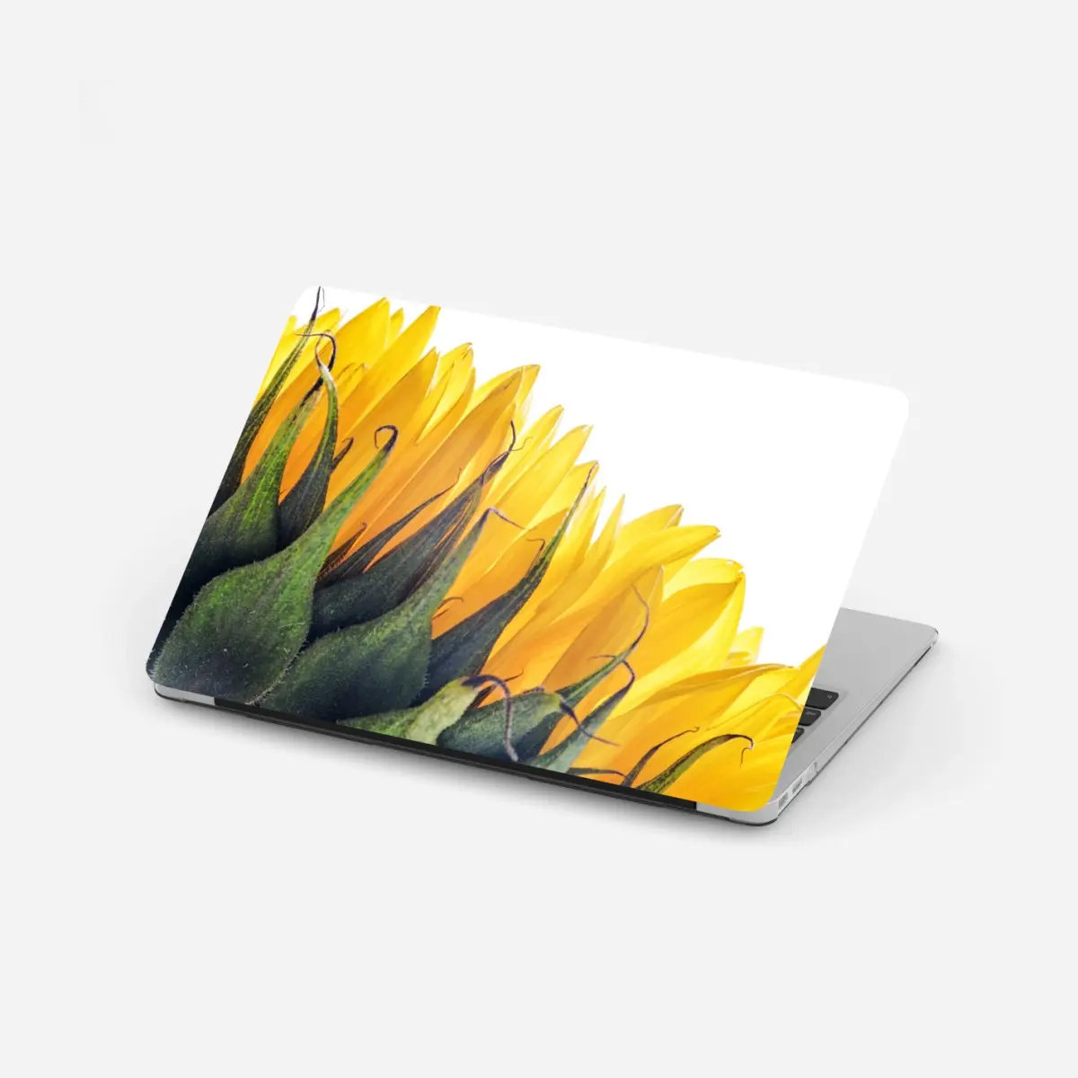 Laptop-Aufkleber sonnenblume in der ecke auf weißem hintergrund – Pixers®