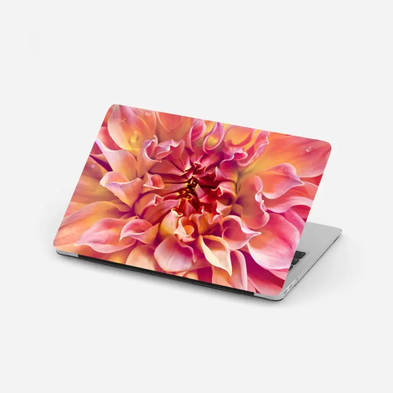 Laptop-Aufkleber rosa dahlie nahaufnahme
