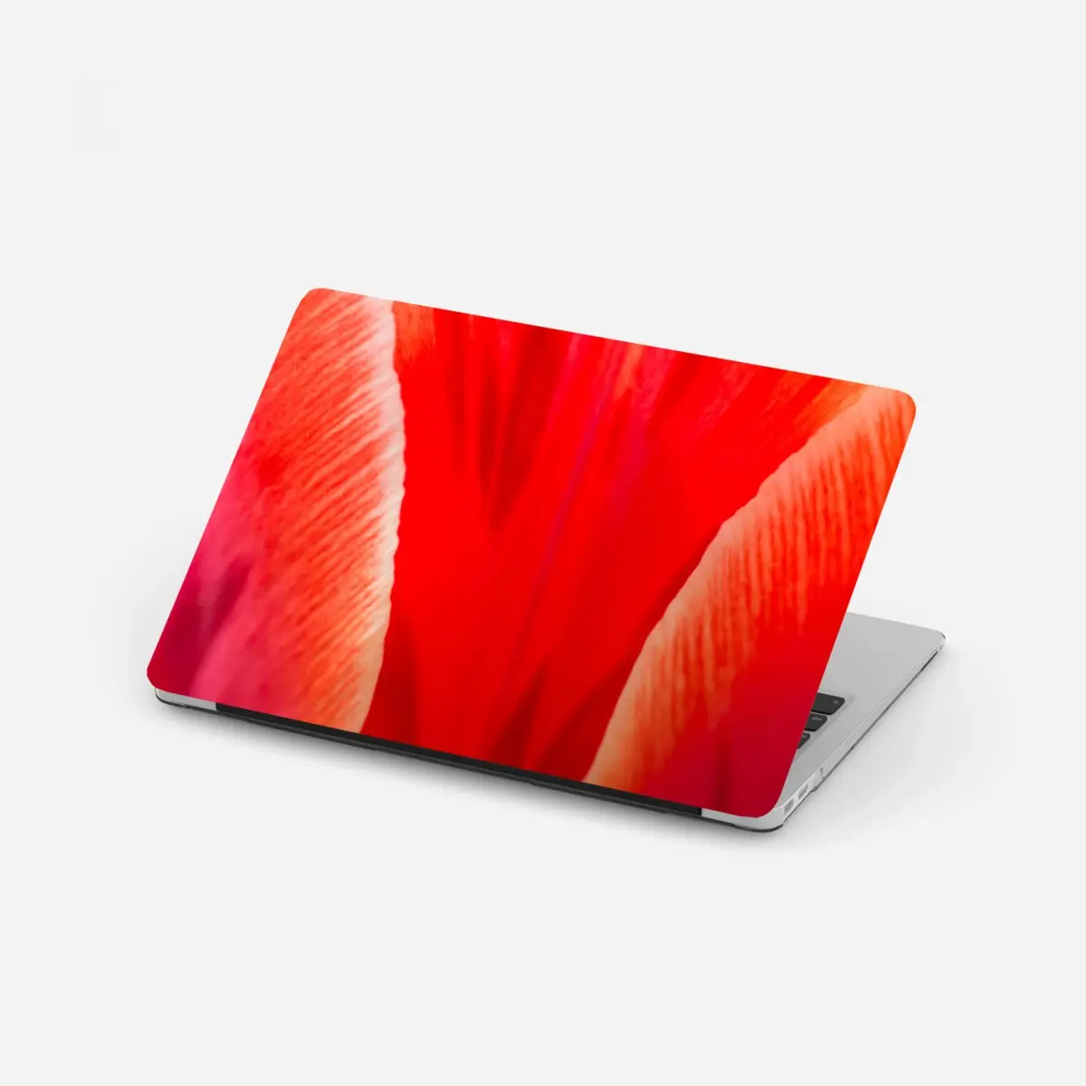 Laptop-Aufkleber leuchtende rote tulpen nahaufnahme – Pixers®