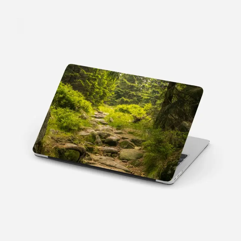 Laptop-Aufkleber ruhiger waldweg durch nadelwald