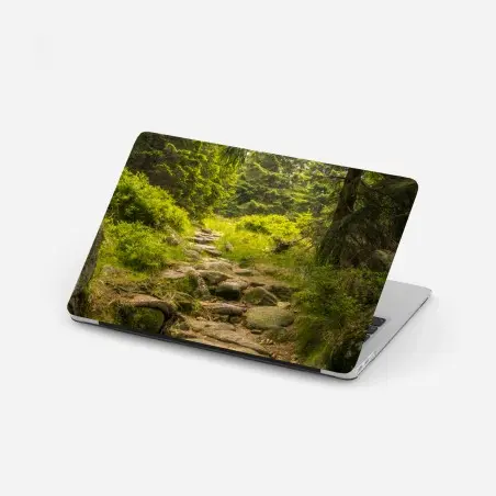 Laptop-Aufkleber ruhiger waldweg durch nadelwald – Pixers®