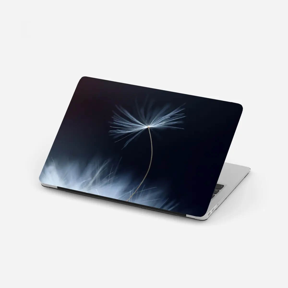 Laptop-Aufkleber zarte makroaufnahme eines löwenzahnsamens – Pixers®
