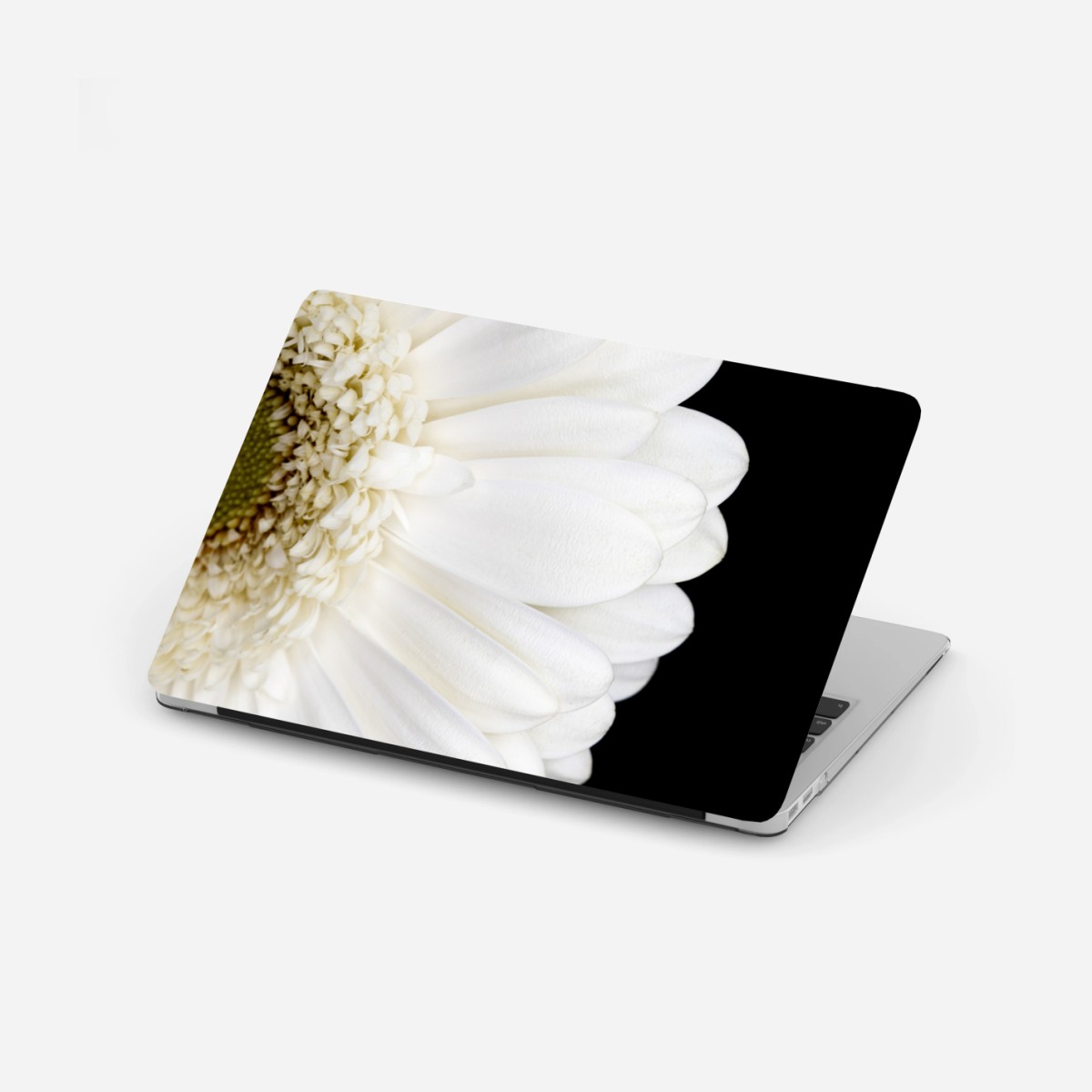 Laptop-Aufkleber weiße gerbera auf schwarzem hintergrund minimalistische nahaufnahme – Pixers®