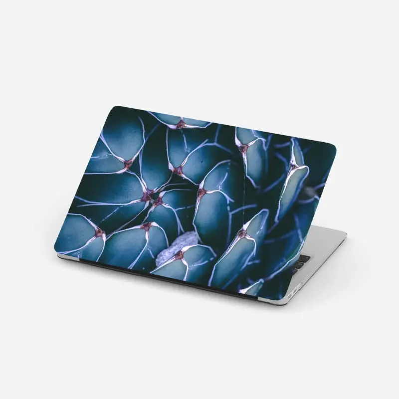 Laptop-Aufkleber geometrische makroaufnahme türkiser sukkulente