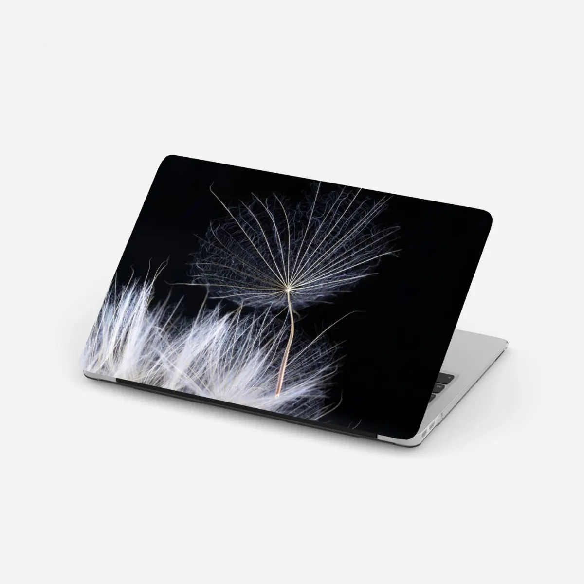 Laptop-Aufkleber zarter löwenzahnsamen auf schwarzem hintergrund – Pixers®