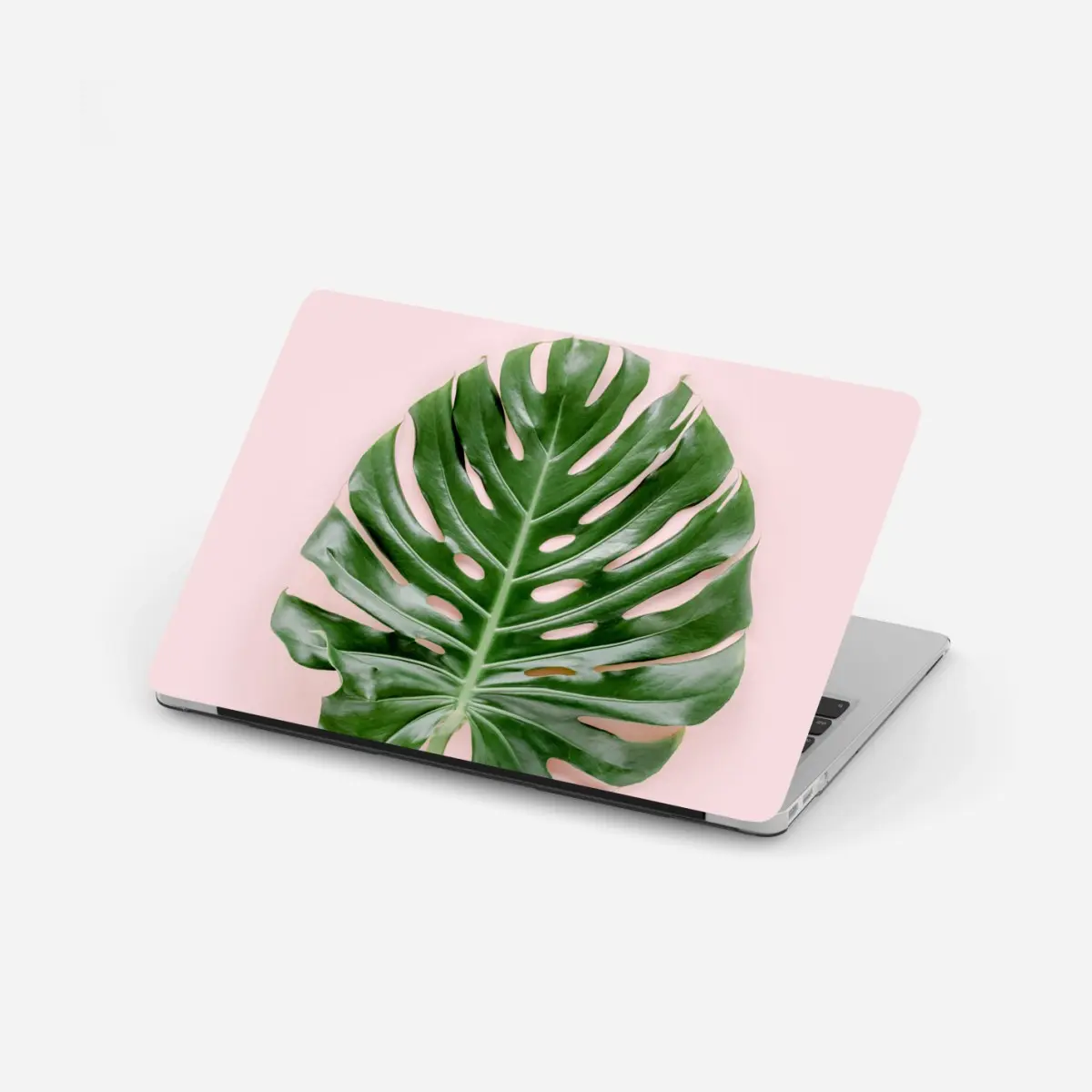 Laptop-Aufkleber monstera-blatt auf pastell-rosa hintergrund – Pixers®