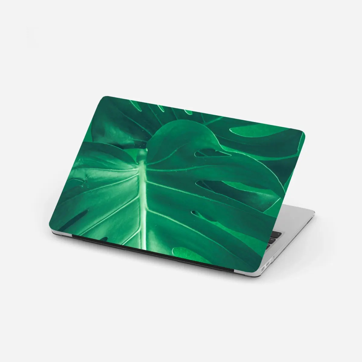 Laptop-Aufkleber prächtiges monstera-blatt nahaufnahme – Pixers®