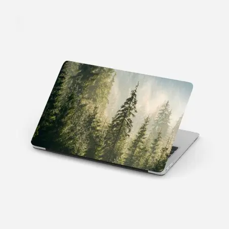 Laptop-Aufkleber nebliger fichtenwald im morgenlicht – Pixers®