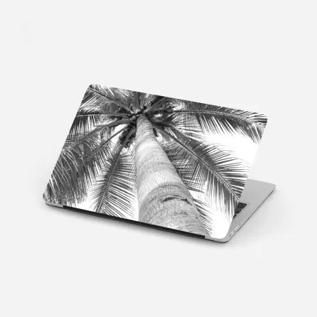 Laptop-Aufkleber monochrome palme aus der froschperspektive – Pixers®